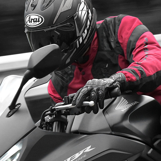 もう1つの季節の、もう1つの楽しみがやって来る。