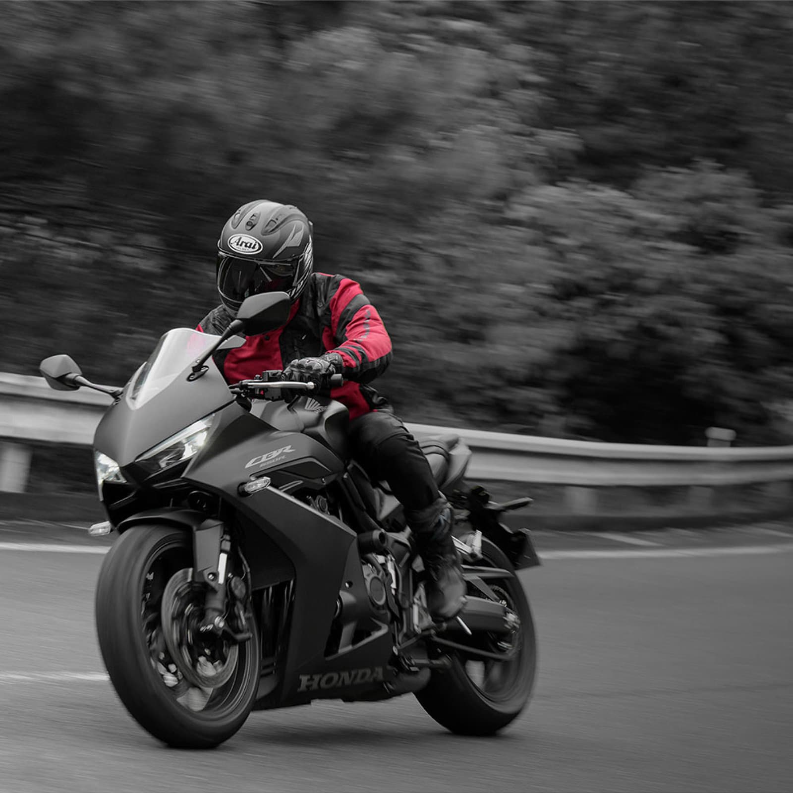 もう1つの季節の、もう1つの楽しみがやって来る。