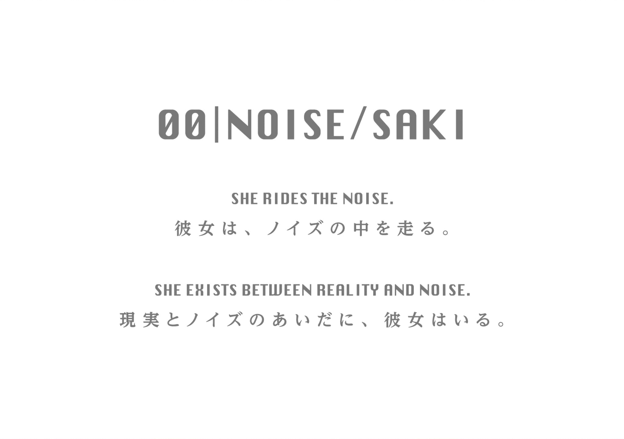 NOISE/SAKI