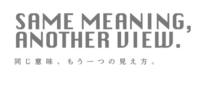SAME MEANING, ANOTHER VIEW.